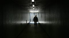 eutanásia votação AR