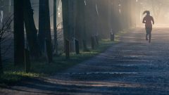 apoio deposto pos parto subvenção Orçamwnto do Estado