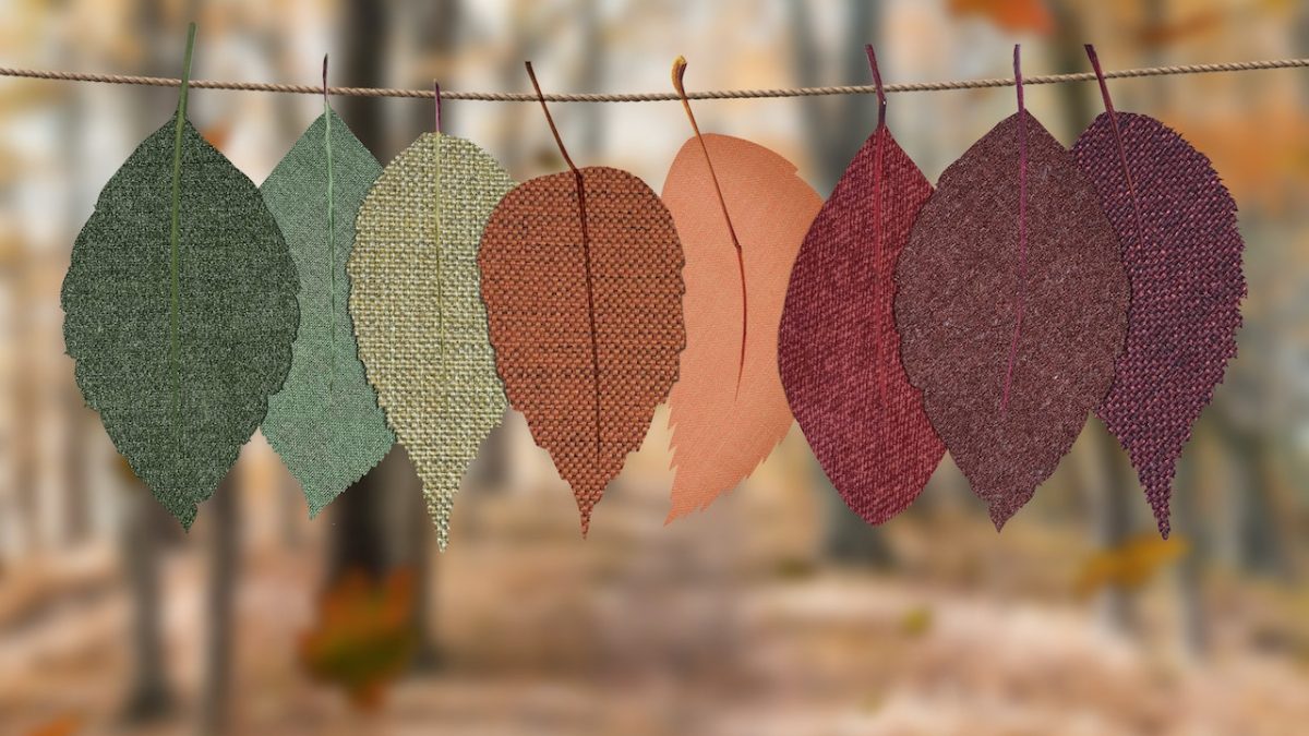 pexels-designecologist-1389460