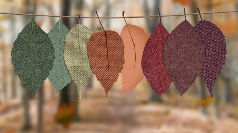 cores parecer abastada rica conjugações