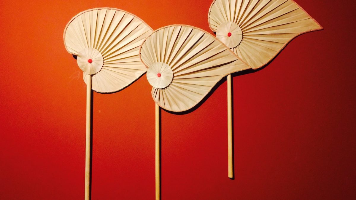 pexels-pom-white-6080959