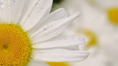 meteorologia baralha shopping