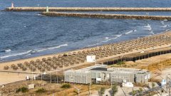 praia quarteira bactéria