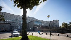 Hospital Santa maria bebés bactéria multiresistente