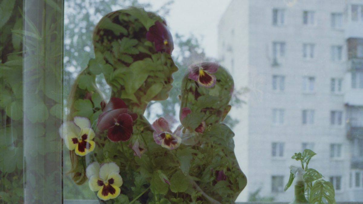 pexels-kseniya-ozornina-8808085