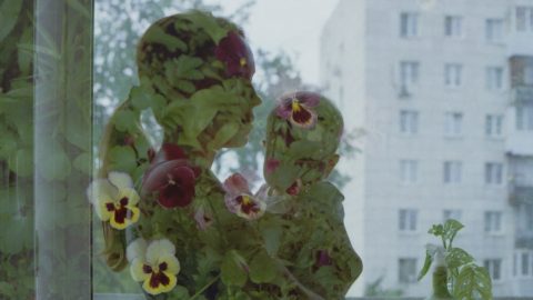 pós-parto depressão pílula medicamento EUA