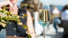 vinho risco alterações climáticas estudo