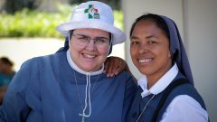 DGS recomendações calor JMJ