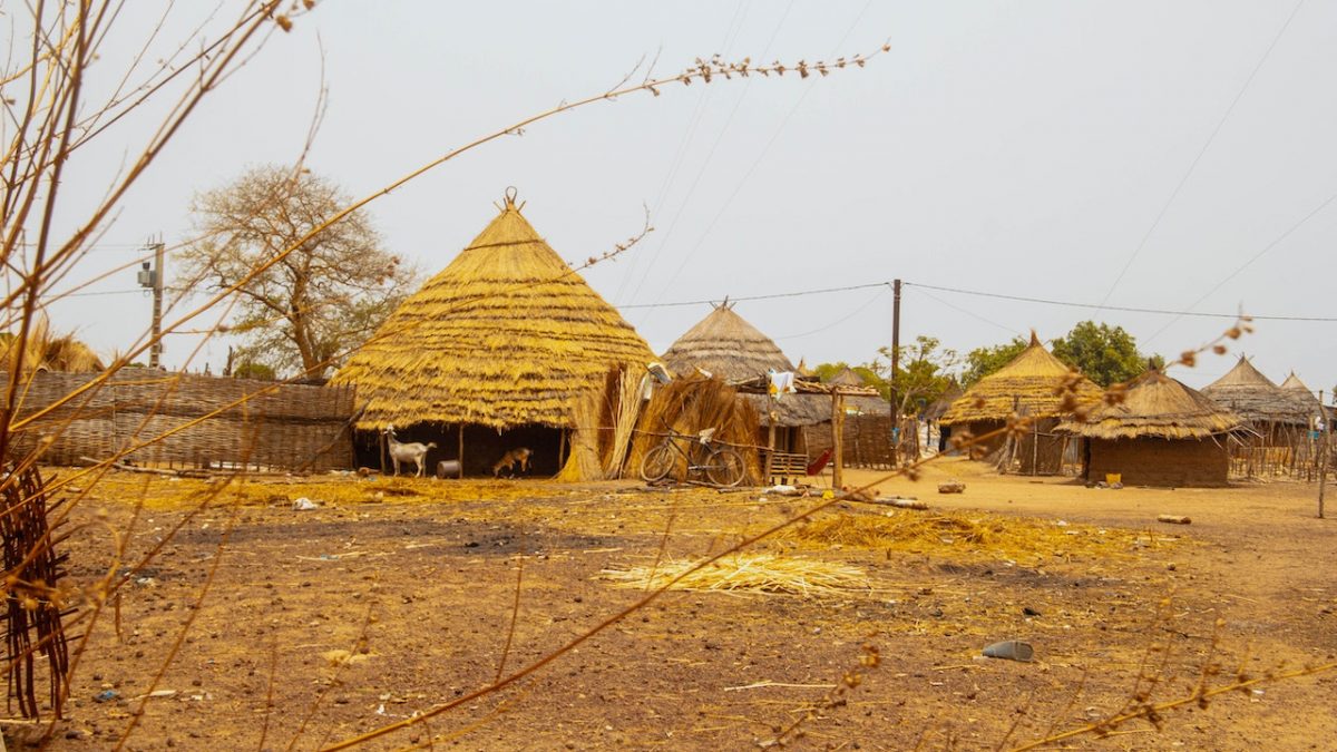 pexels-pros-pierre-12522152