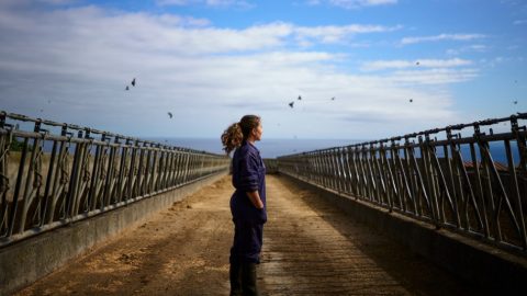 Rui caria Mulheres da terra exposição Açores Ilha terceira