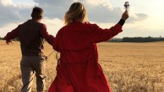 amor opostos atraem-se estudo universidade