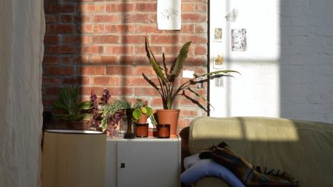 mantas shopping noites frias aconchegantes