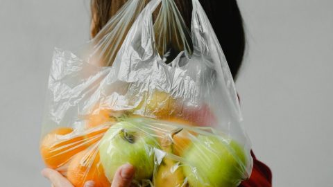 Sacos de plástico quatro cêntimos duas exceções