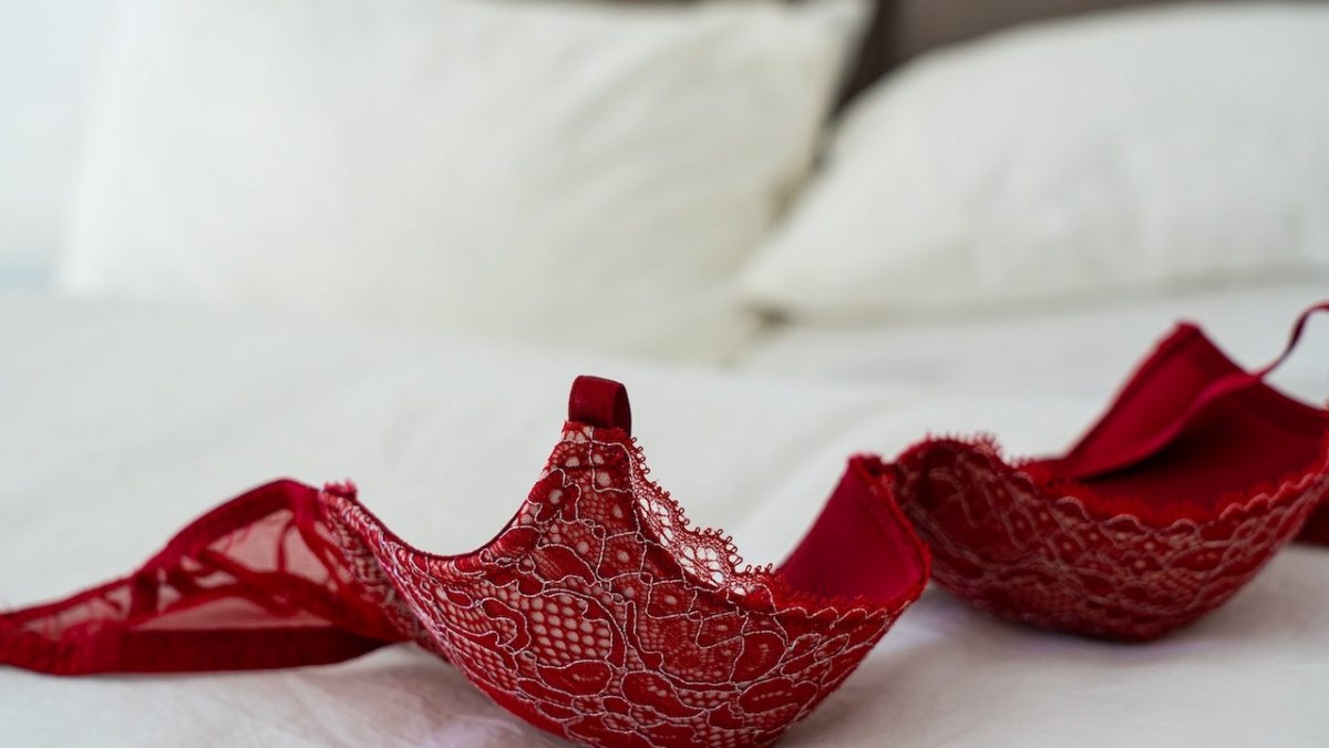 pexels-castorly-stock-3682265 pexels-castorly-stock-3682265