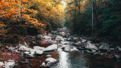 água doce nanoplásticos coimbra Universidade
