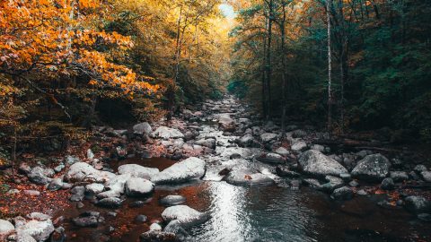 água doce nanoplásticos coimbra Universidade