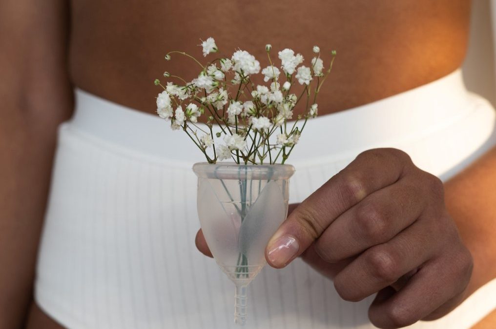 pexels-cottonbro-studio-3737819