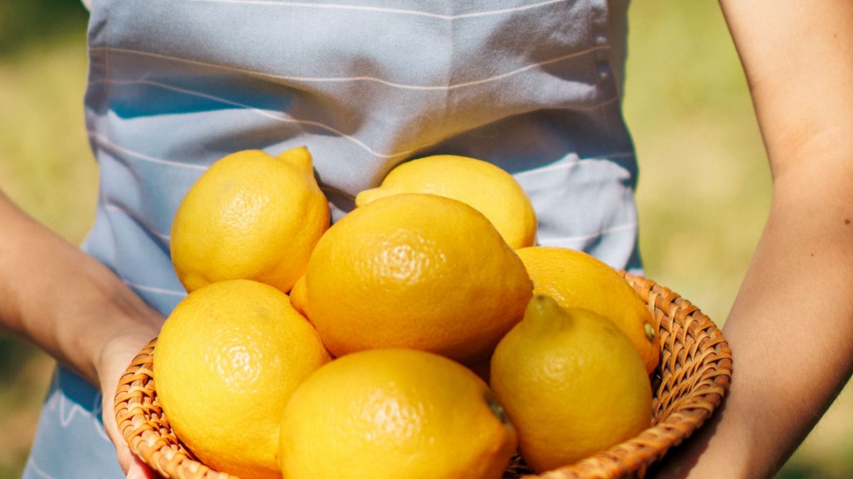 pexels-daniel-kondrashin-17769502