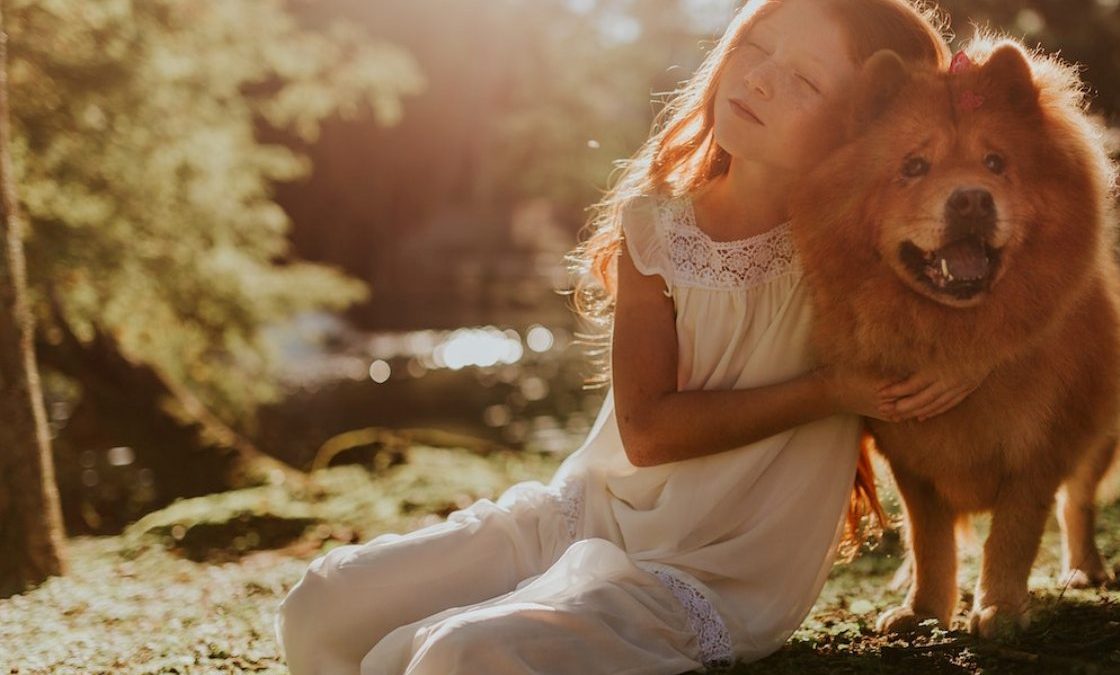 pexels-matheus-bertelli-573293