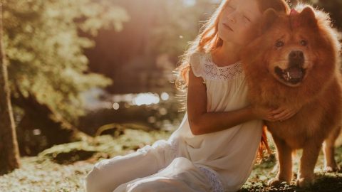 dia do animal adoção adotar cuidados a ter