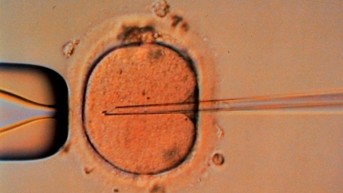 3369172_A101-4477604