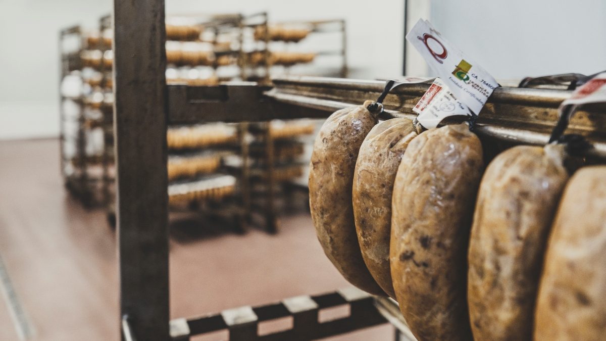 46274985_090323GINUNOPINTOFERNANDES0000011