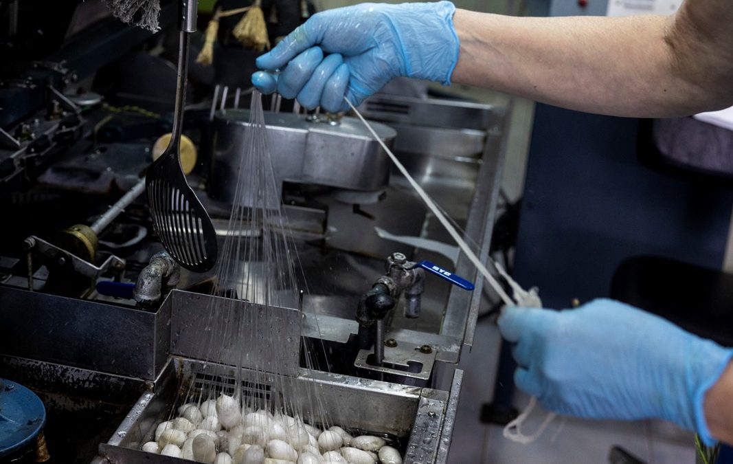 46928777_GI18052023ARTURMACHADO000009