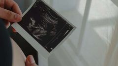 Gravidez de substituição CNECV CNPMA Maria do Céu Neves Carla Rodrigues