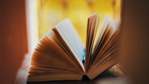 livros cheque-livro jovens