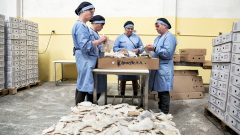 bacalhau portugueses cortaam Natal