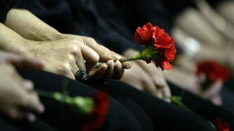 cinemateca programação liberdade 25 abril 50 anos