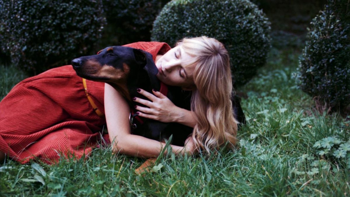 pexels-alexander-zvir-19292935