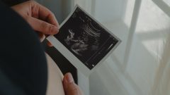 Malformações embrionárias fatais Porto estudo manipulação genética