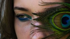 olhieras vasculares pigmentadas tipos