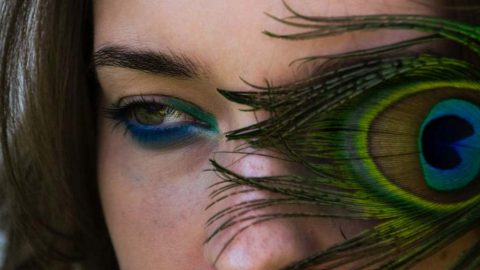 olhieras vasculares pigmentadas tipos