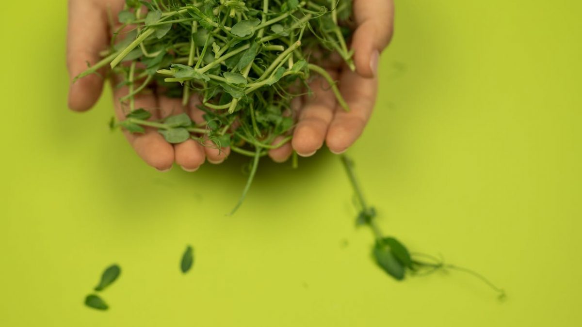 pexels-shvets-production-7195057