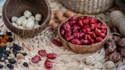 libido bagas de goji açaí superalimentos