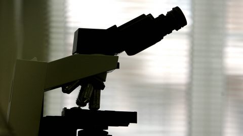 nanoplásticos microscopio intestinais cerebrais