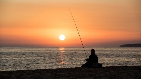 país reformados estrangeiros POrtugal 2024