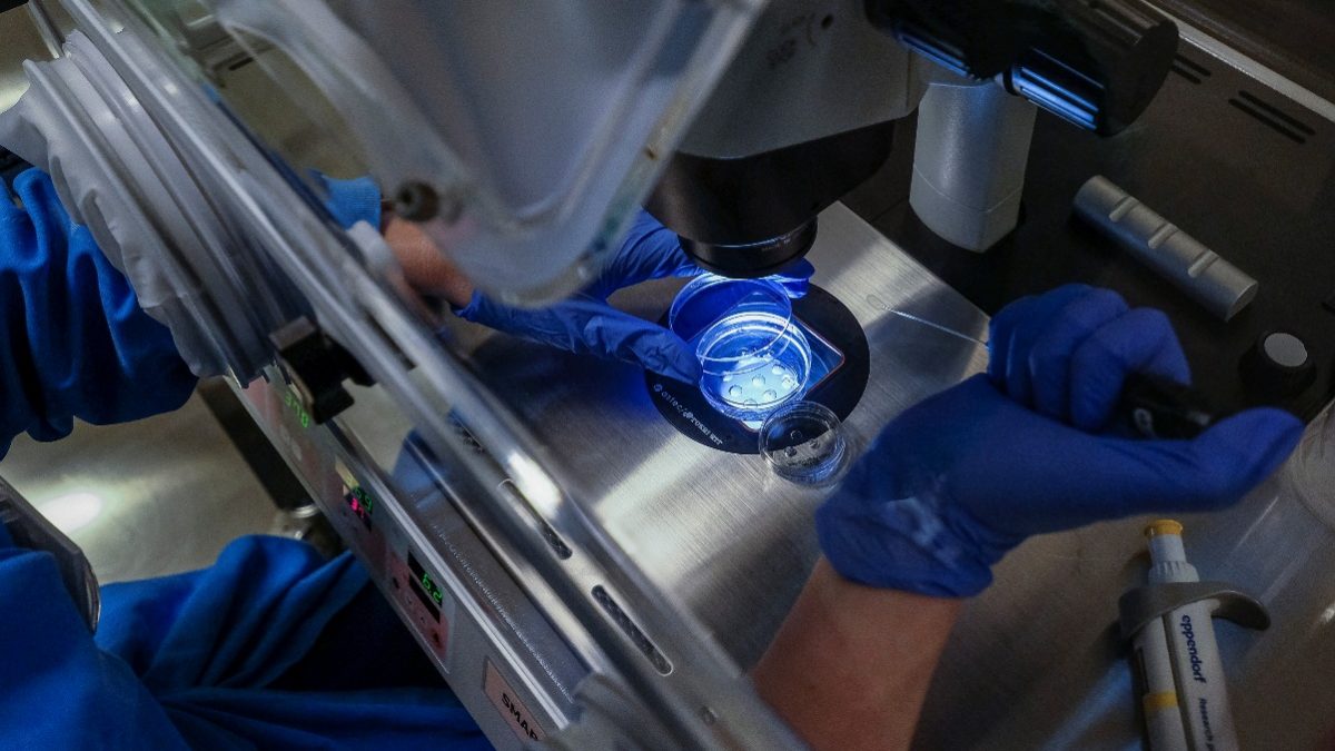 34066652_GI14032019LN000606