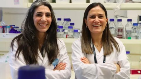 investigadoras osteoartrite artroses ciência investigação Porto