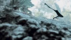 rainhas reino Animal série Angela Basset National Georgraphic