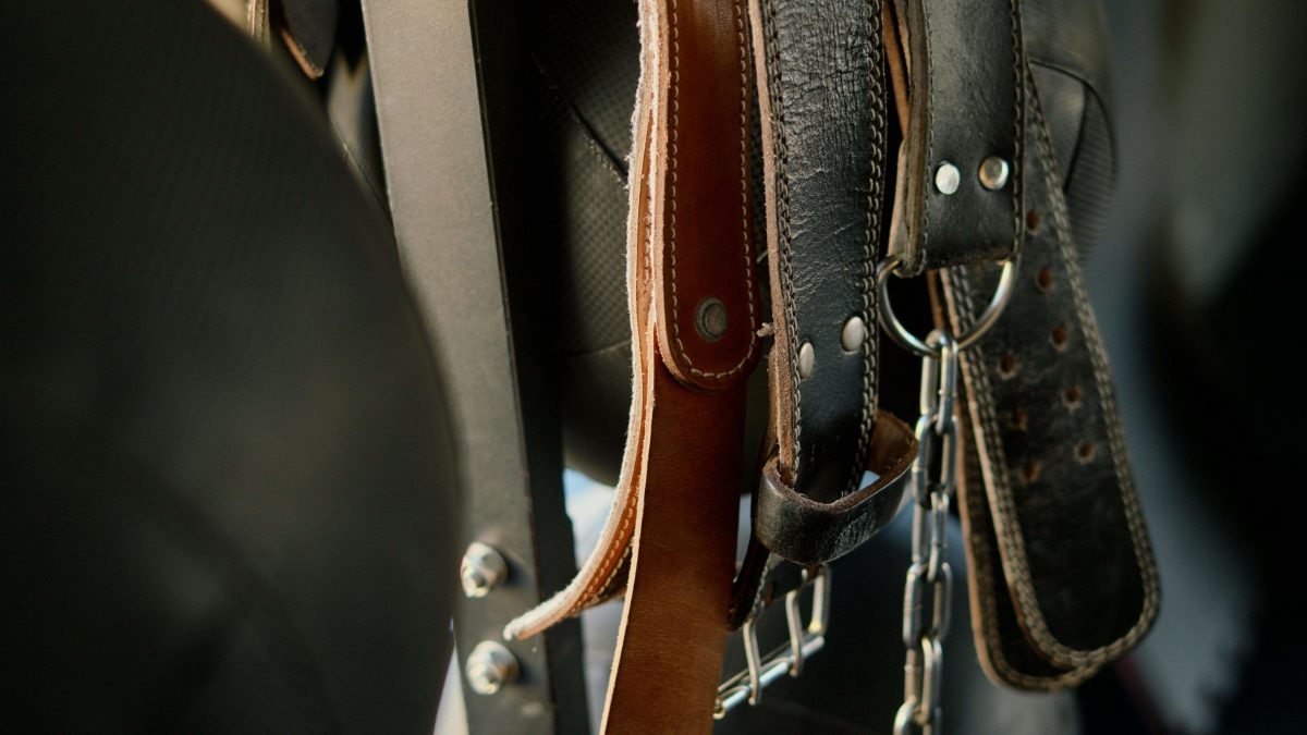 pexels-ivan-samkov-4164506