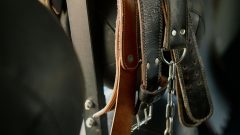 Cintos para sobreposições