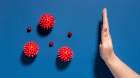 HPV mulheres risco doenças cardiovasculares ataque cardíaco AVC