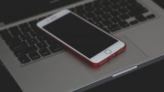 Pig Butchering. Eis a burla das apps de encontro, que já está no TikTok e seis conselhos da PSP para evitar cair