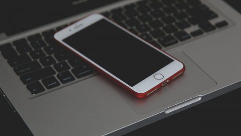 Pig Butchering. Eis a burla das apps de encontro, que já está no TikTok e seis conselhos da PSP para evitar cair