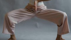 intestinos bactérias estudo