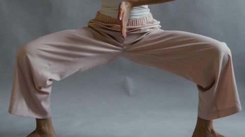 intestinos bactérias estudo