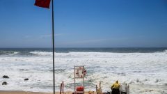 praia caravela-portuguesa cuidados